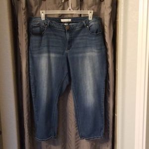 Cato denim capris size 22